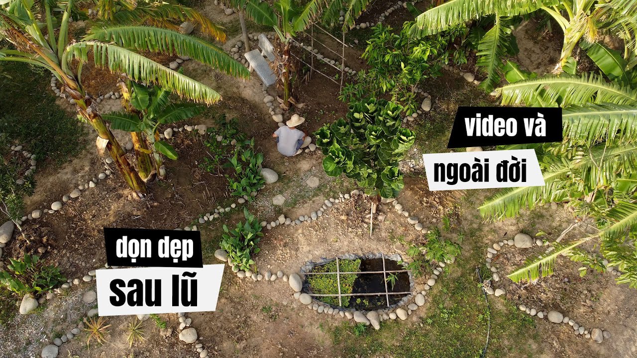 #126. Thành thật với bản thân / Dọn lại khu vườn