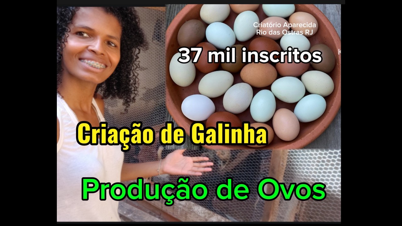 Criação de Galinhas: Produção no calor