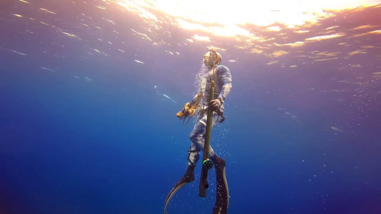Hawaii Spearfishing Whoo's n Mu's
