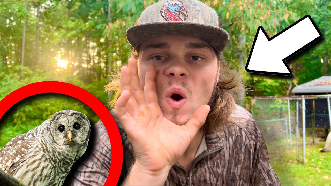 How to Owl Hoot Using Mouth (professionally)