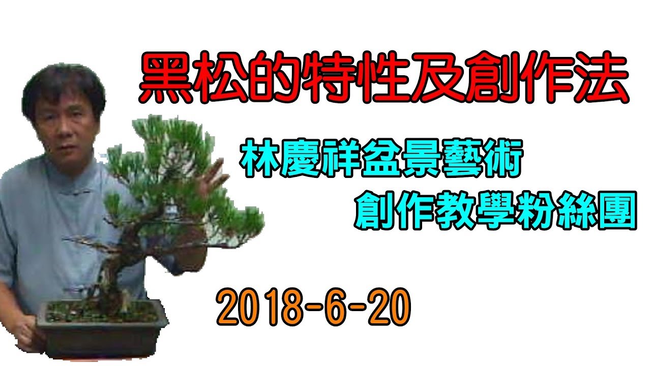 林慶祥盆景藝術創作教學團隊 Line : 0936456168 ( 黑松的特性及創作法 ) 2018-6-20