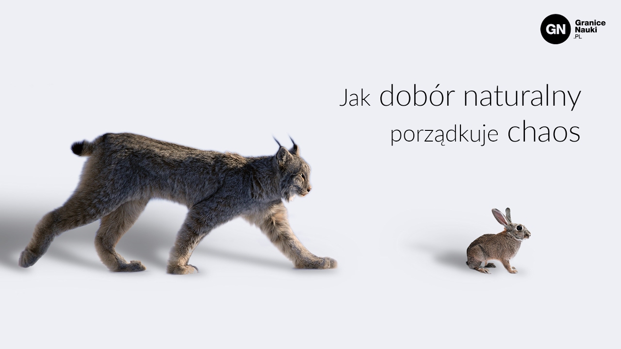Konkurencja vs współpraca: jak dobór naturalny porządkuje chaos, Szymon Drobniak