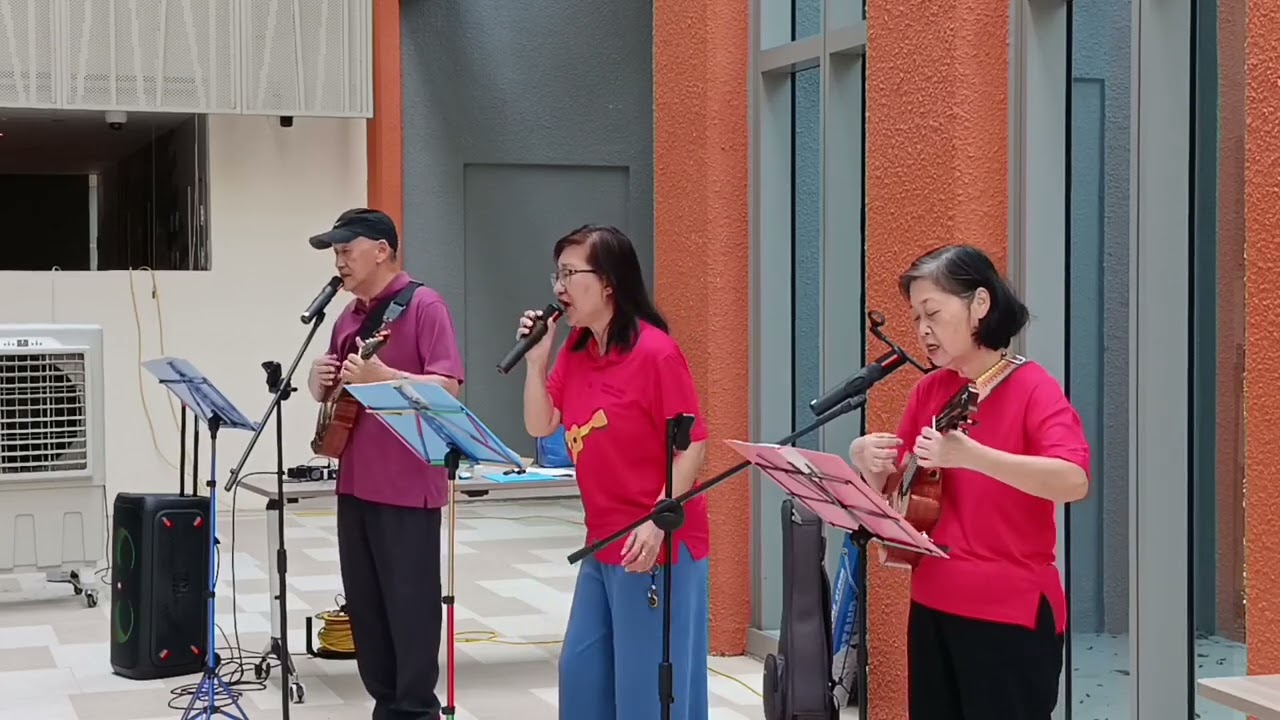 小人物的心声 ( ukulele 