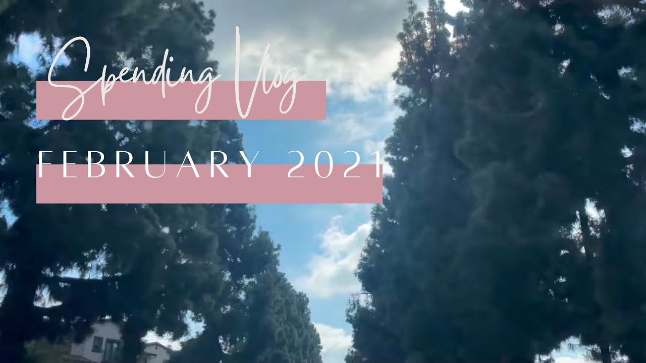 Spend With Me; A Week in February 2021 | BudgetWithBri