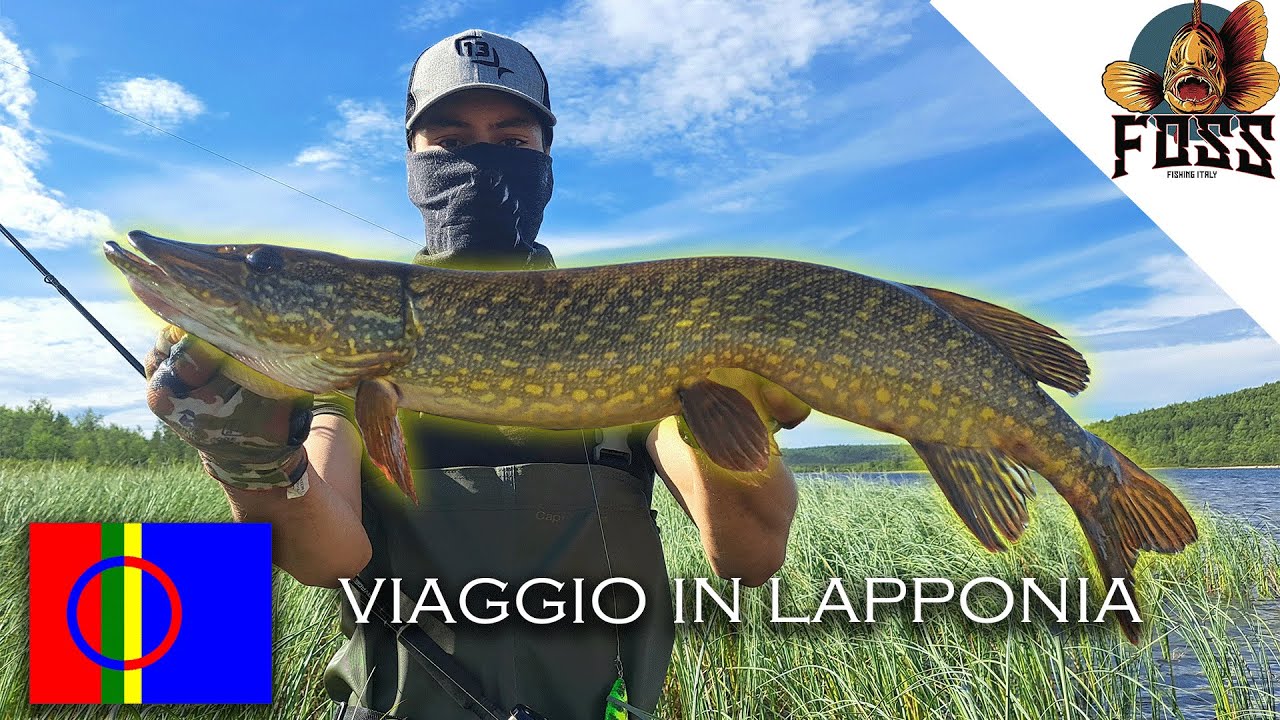 A PESCA IN LAPPONIA! (tantissime catture e attacchi incredibili!)- ep.1