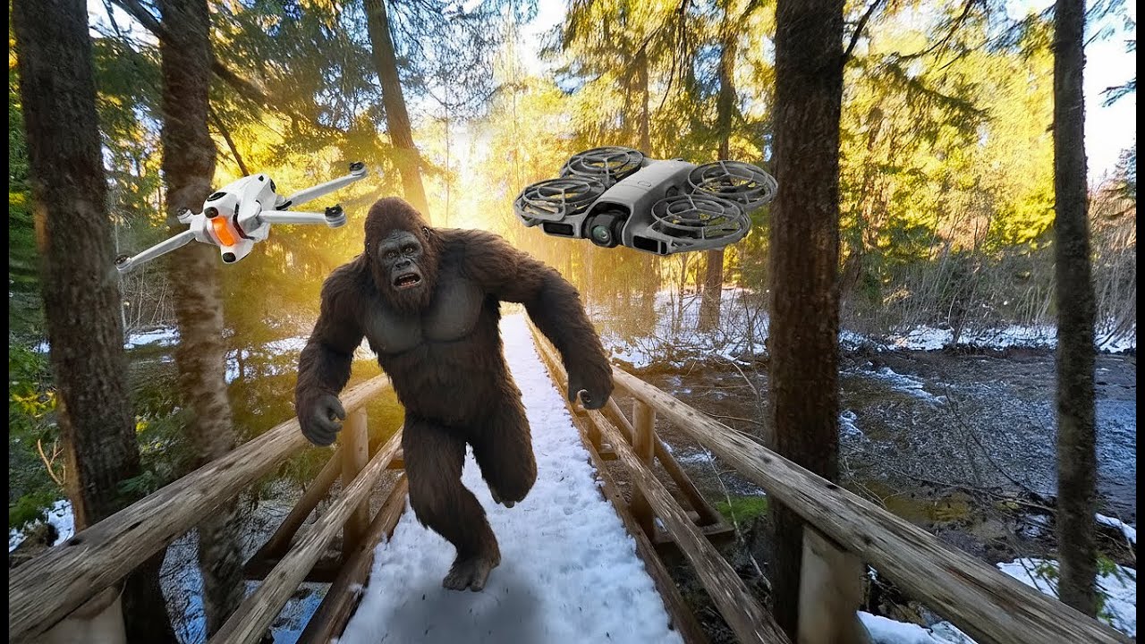 Did we just drone Bigfoot?  (DJI Neo2 and Antigravity A1)