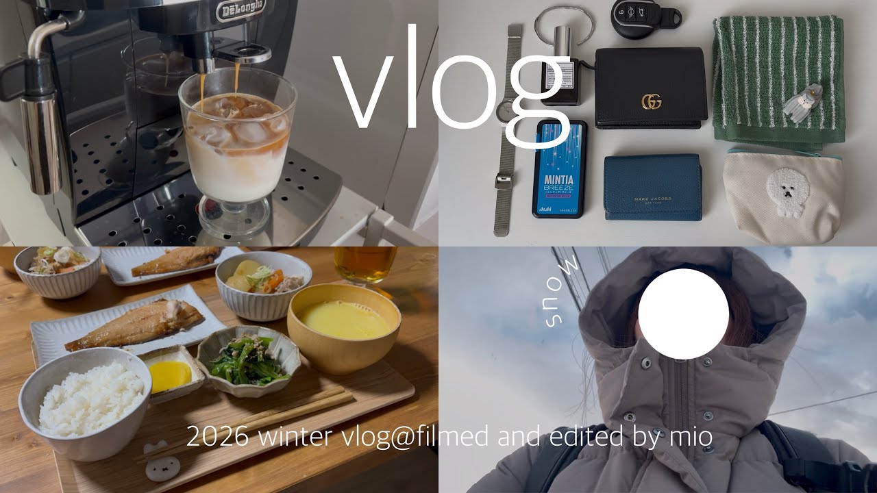 ［vlog］金融機関社会人OLの気付いたら終わってる休日ルーティン🪴┊バッグの中身.ショールーム見学🚰ガチャガチャ.購入品