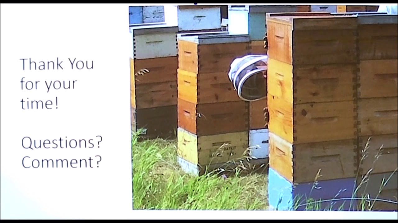 Steppler Neonic Rabbit Hole, Feb 15, 2020