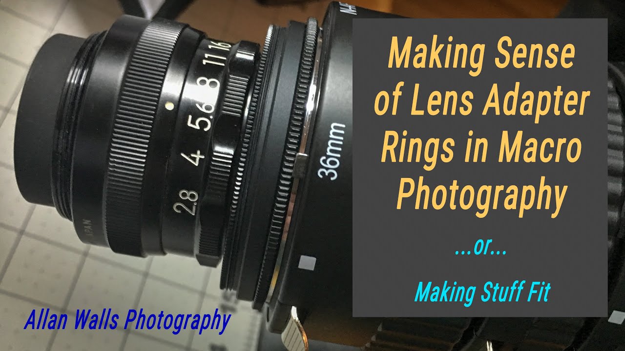 Making Sense of Lens Adapters in Macro Photography