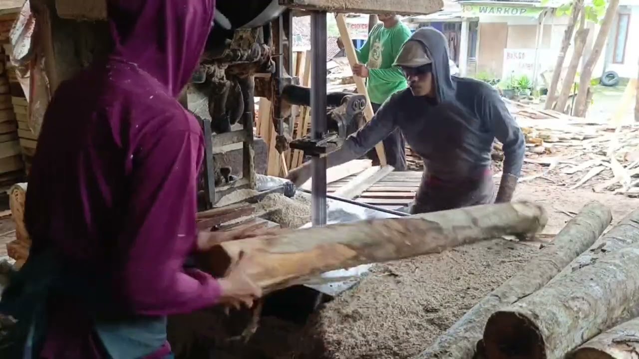 HASIL BERLIPAT POTONG KAYU SENGON 