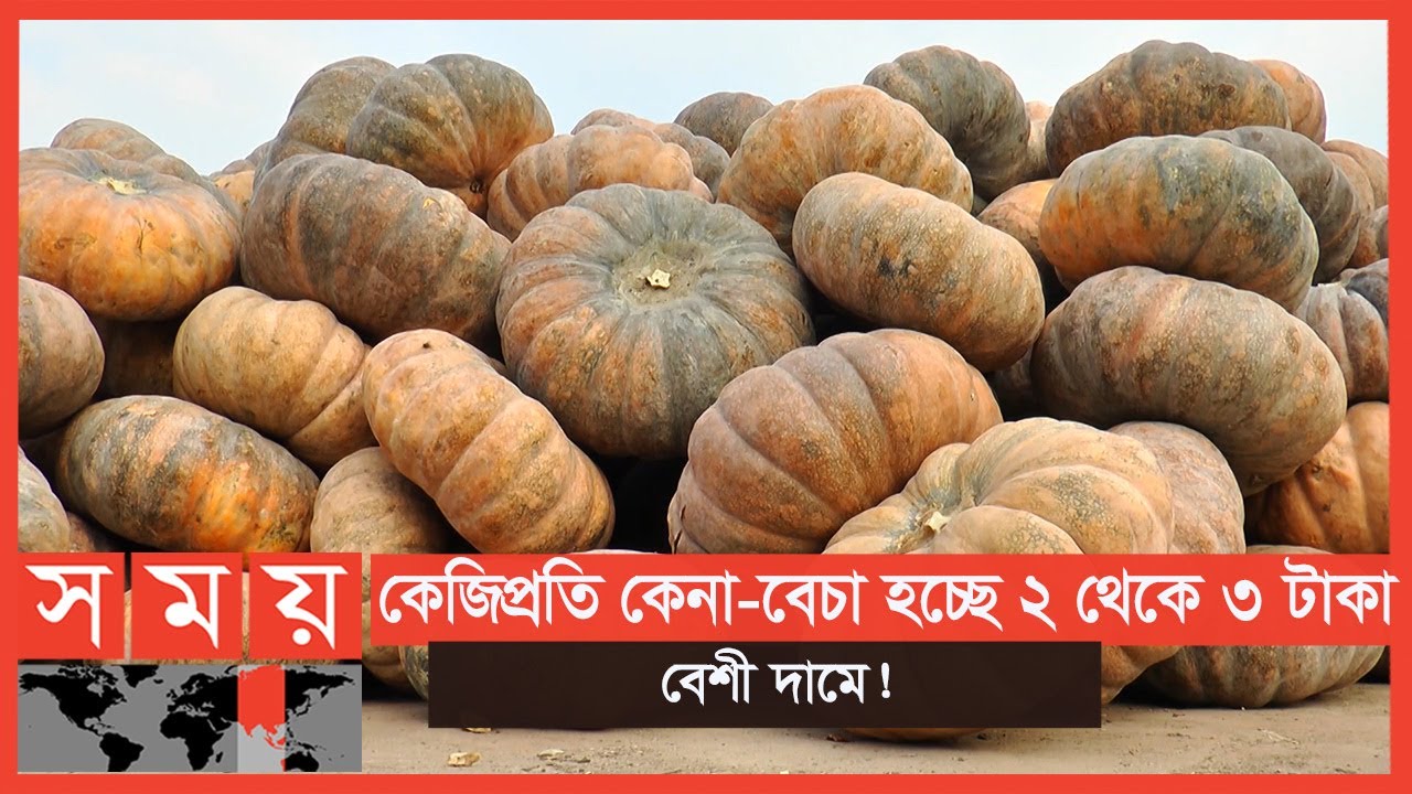 বগুড়ায় সরবরাহ কমায় বেড়েছে সবজির দাম! | Vegetable Market | Business News