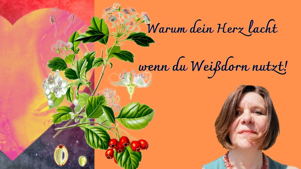 Warum dein Herz lacht wenn du Weißdorn nutzt