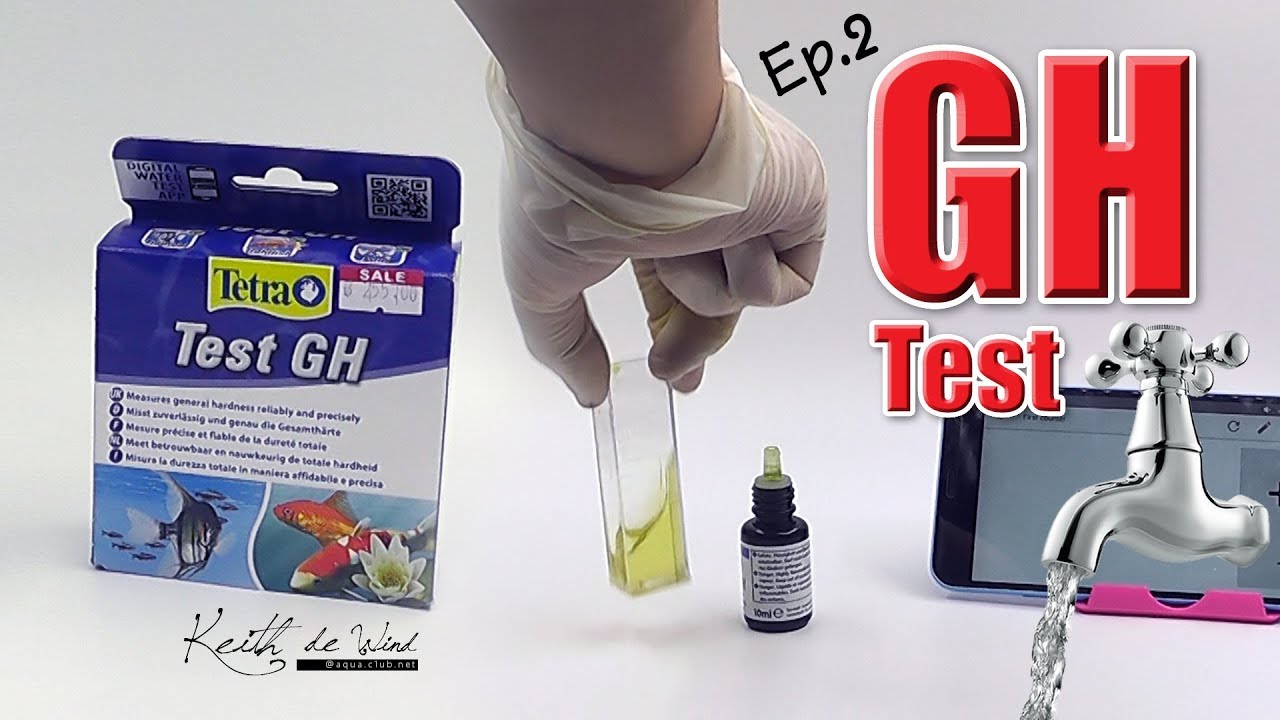 Tetra GH test - EP.2 tap water