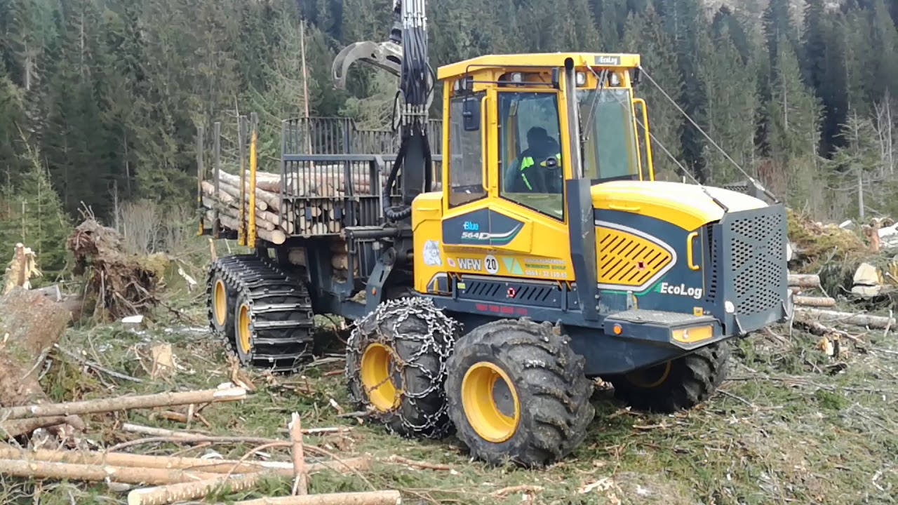 Tempesta in Val Visdende