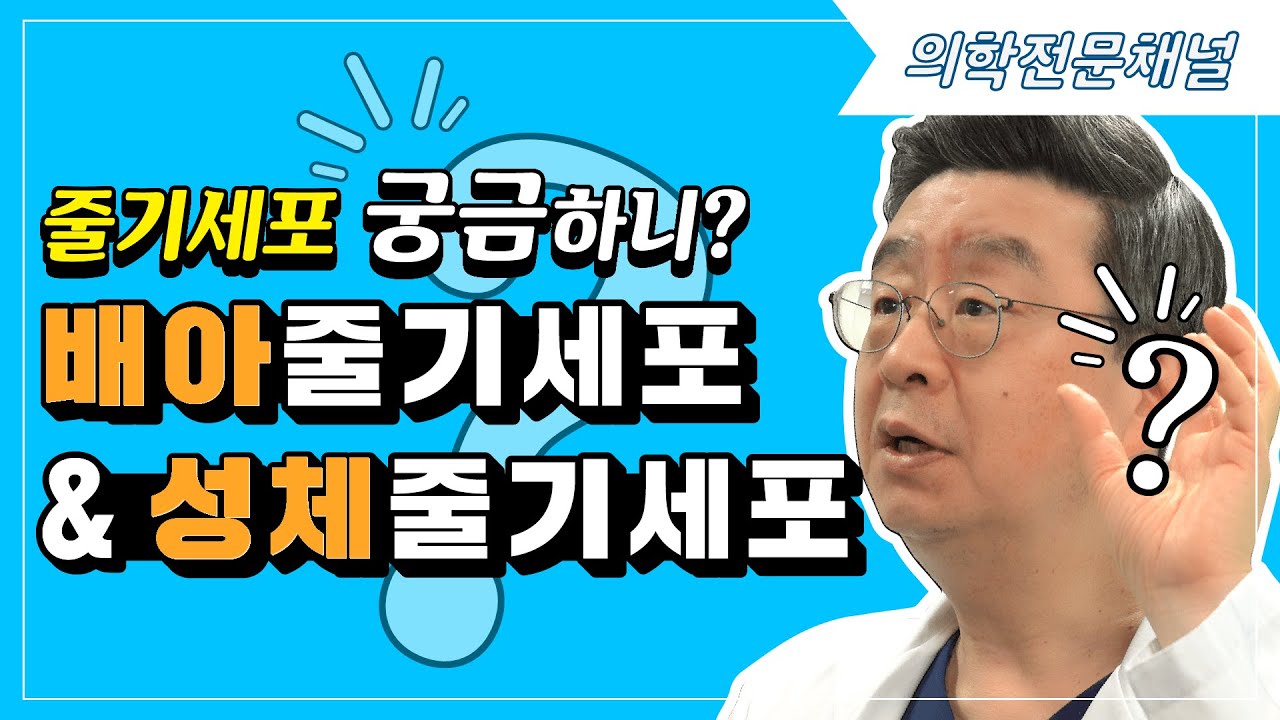 EP26. 줄기세포 궁금하니?🔎배아줄기세포 & 성체줄기세포
