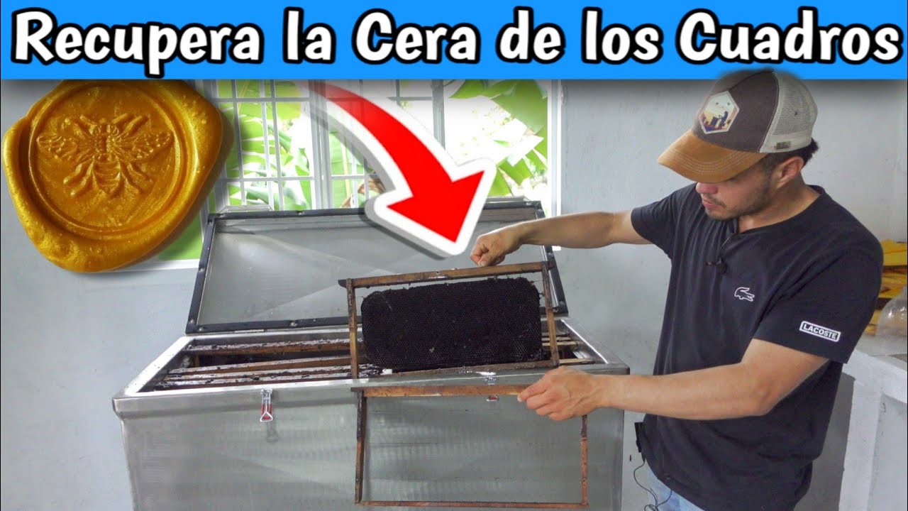 ✅ Cómo Usar un Recuperador de Marcos para Fundir Cera de Abejas 🐝🔥
