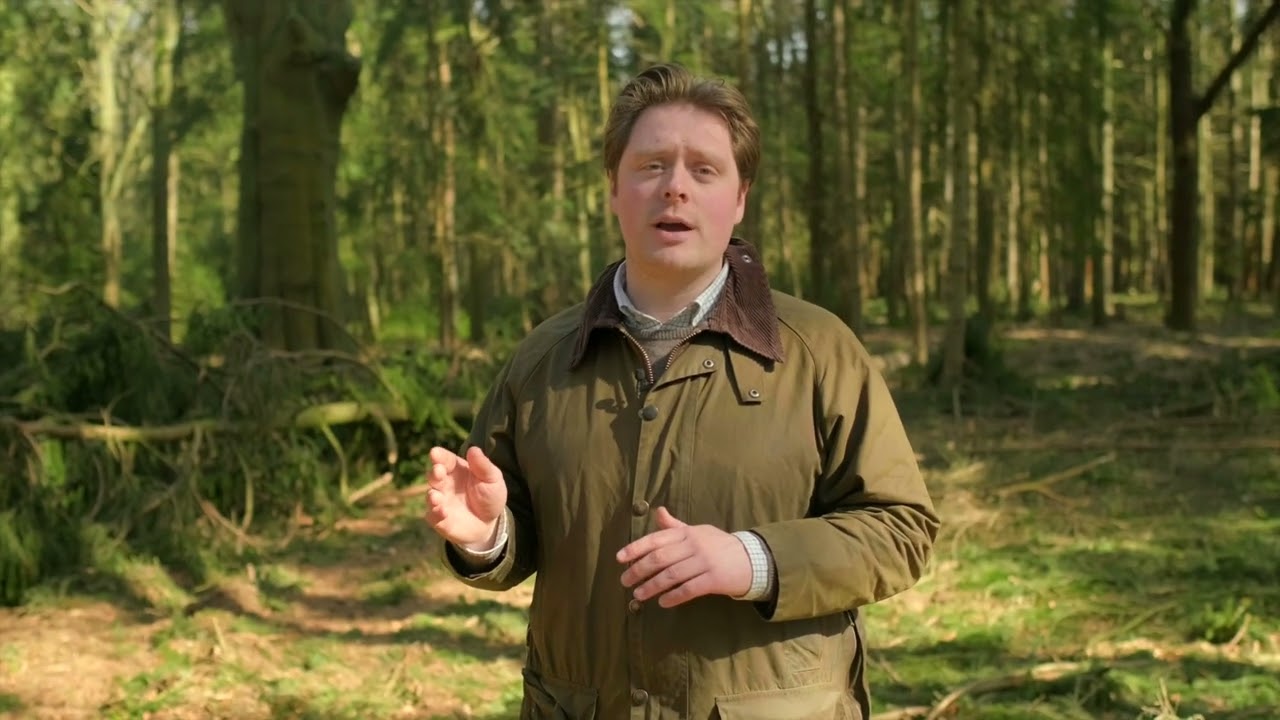 Clear Timber Analytics - Who we are