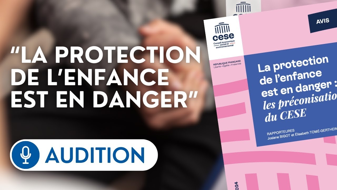 🔴 L’avis du CESE sur la protection de l’enfance est présenté à la commission d’enquête