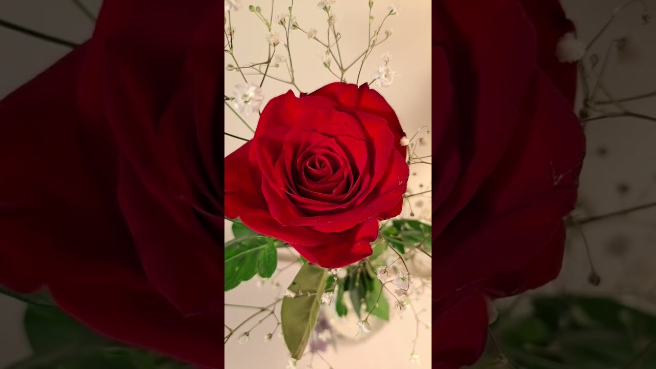 Labihay L is live! 3/8/26 Happy 😊 😃 Sunday Everyone!changed