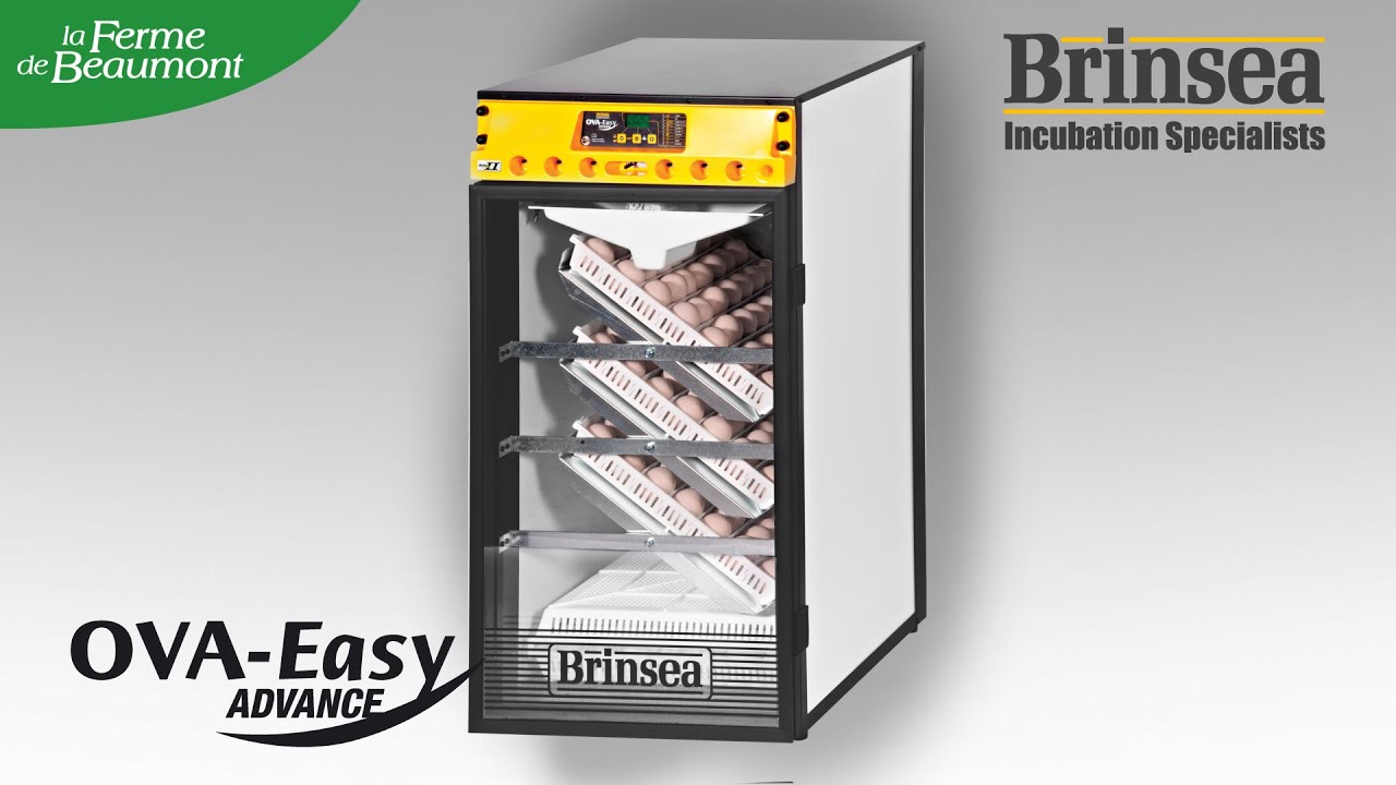 Couveuse Brinsea Ova-easy 190 - La couveuse grande capacit&eacute; pour faire na&icirc;tre vos poussins
