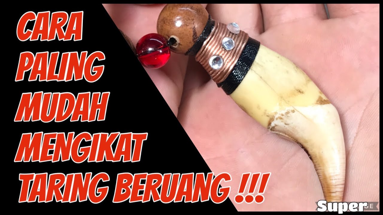 Cara mudah mengikat TARING BERUANG ‼️ BEAR FANGS NECKLACE ‼️ DIY craft