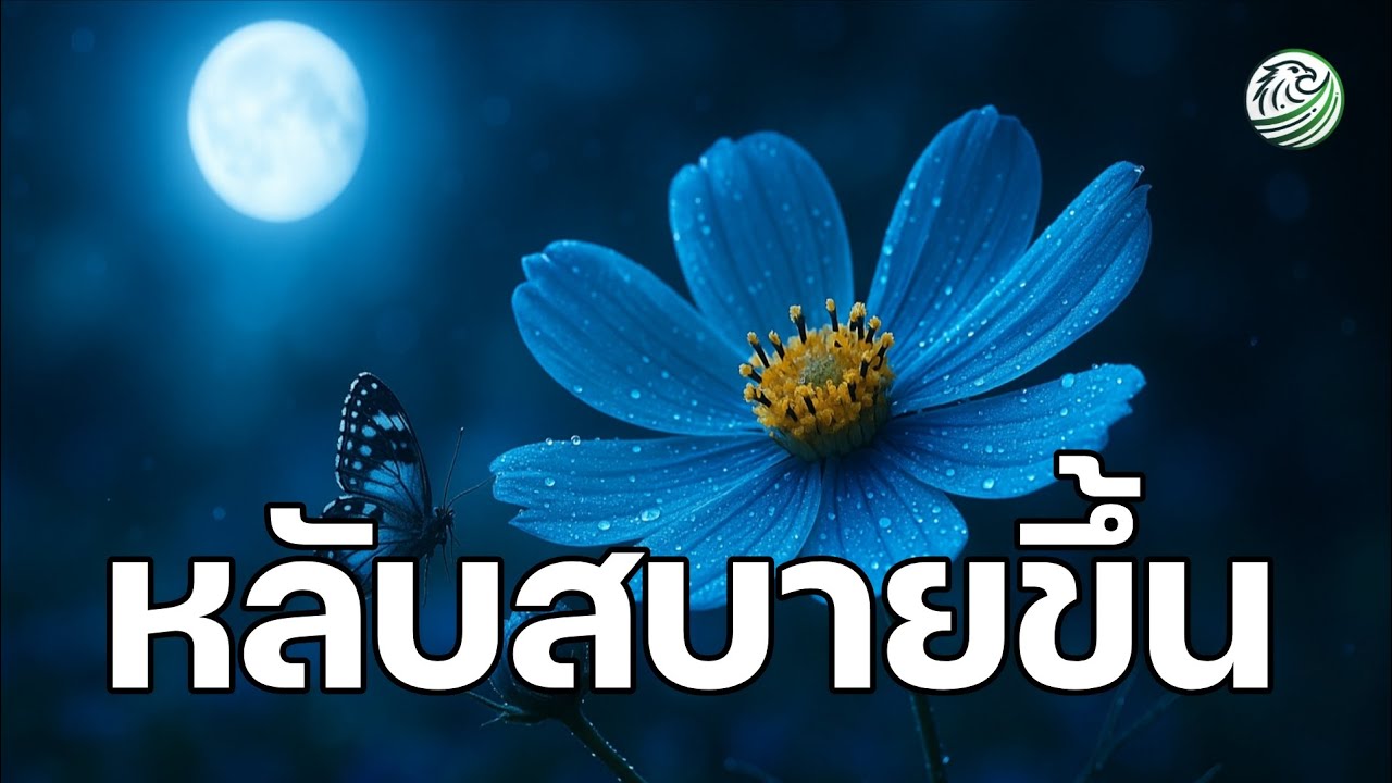 หลับสบายขึ้นเพลงนี้ช่วยประสานจังหวะหัวใจกับคลื่นหลับลึก เพลงหลับลึก เพลงกล่อมนอนผู้ใหญ่ เพลงผ่อนคลาย