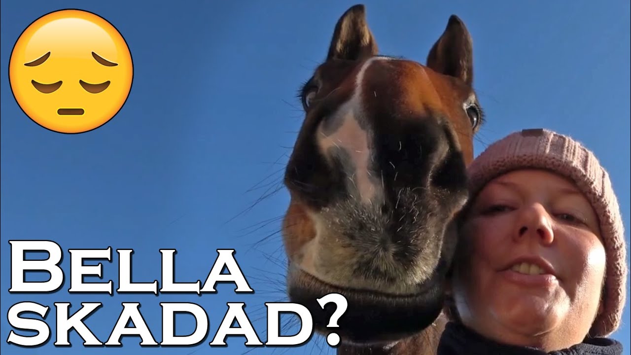 EN STALLVLOGG MED BÅDE SKOJ OCH BEKYMMER...
