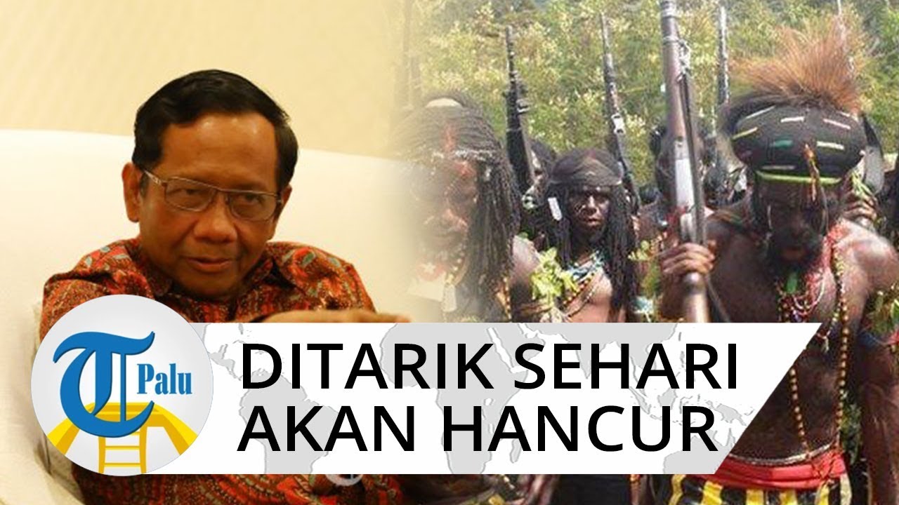 Teror KKB Papua Semakin Mengancam, Mahfud MD: TNI-Polri Sehari Saja Ditarik akan Hancur