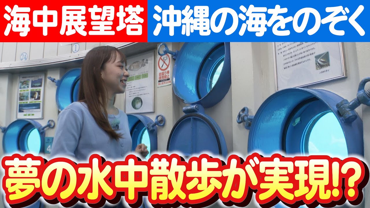 【沖縄の海中散歩！】ブセナ海中公園の海中展望塔ライブビュー 日本財団 海と日本PROJECT in 沖縄県 2023 #033