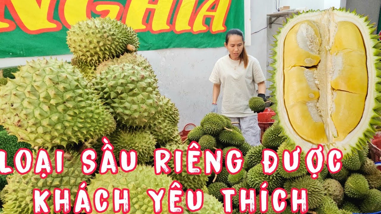 Sầu Riêng Nào Là Loại Được Khách Hàng Lựa Chọn Hiện Tại.