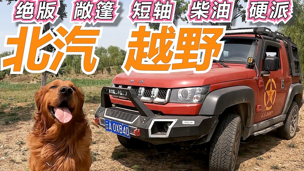 ［绝版珍藏］柴油BJ40两门版｜十万敞篷 硬派四驱｜北京越野VS北汽勇士(下)｜人生单机游戏002