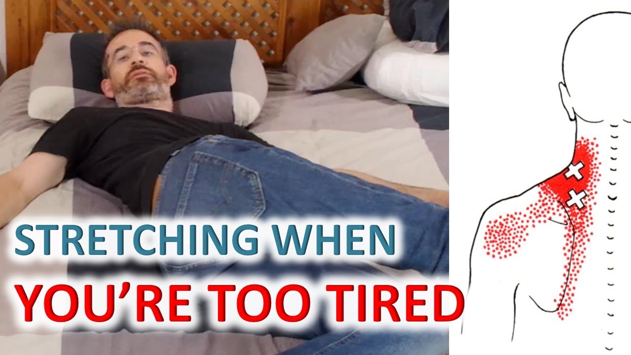 Evening Workouts For Lazy People | Daily Stretching Routine for Flexibility, Mobility & Relaxation
