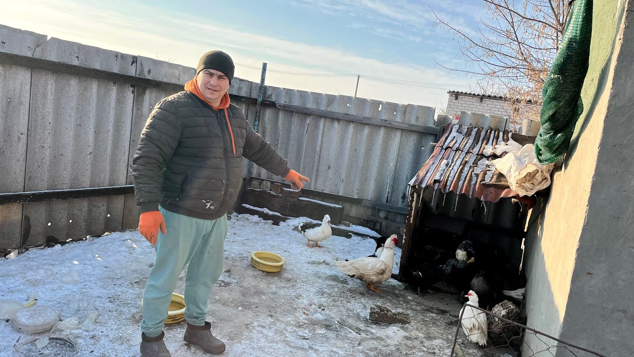 Кого оставили на племя?! Измерил Глорию. 