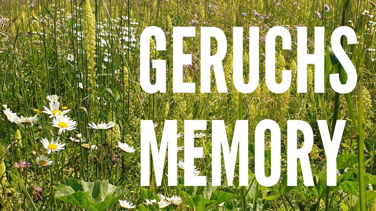 Geruchsmemory