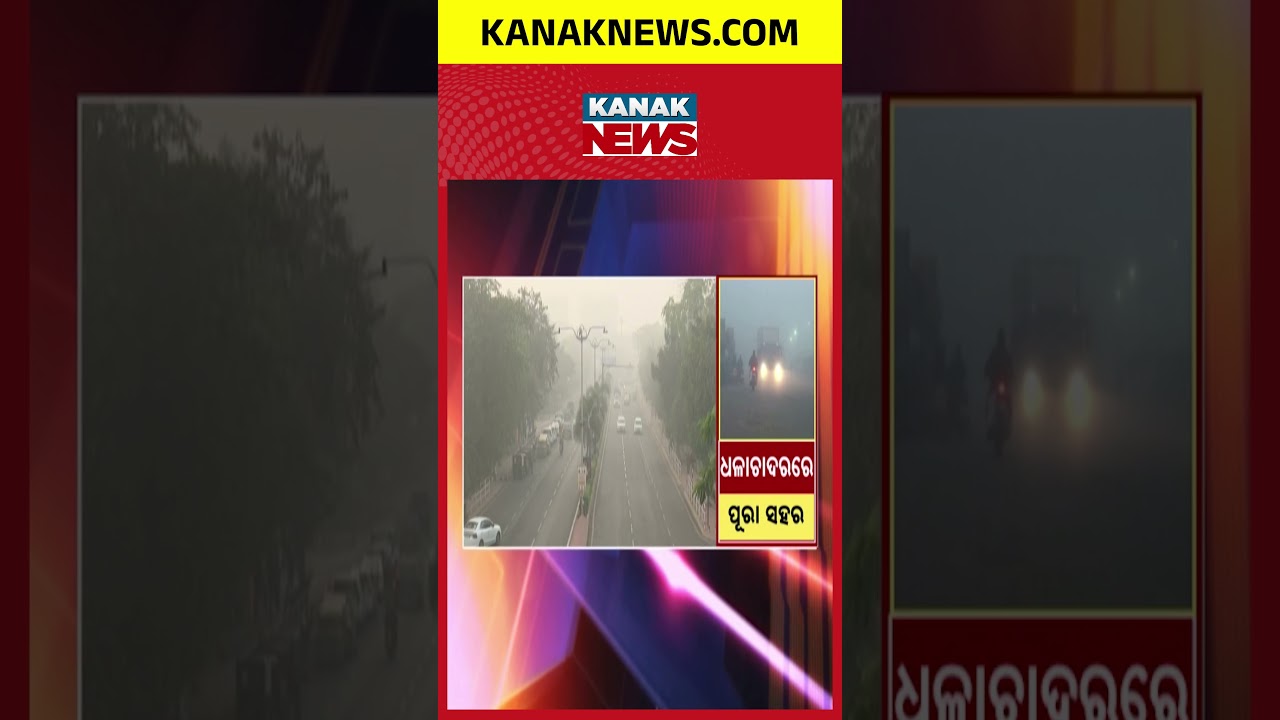 Severe Cold Hits Odisha: Dense Fog Disrupts Traffic