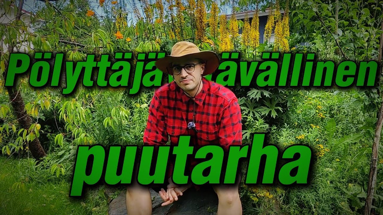 Pölyttäjäystävällinen puutarha: Näin luot pihallesi pörriäisten paratiisin