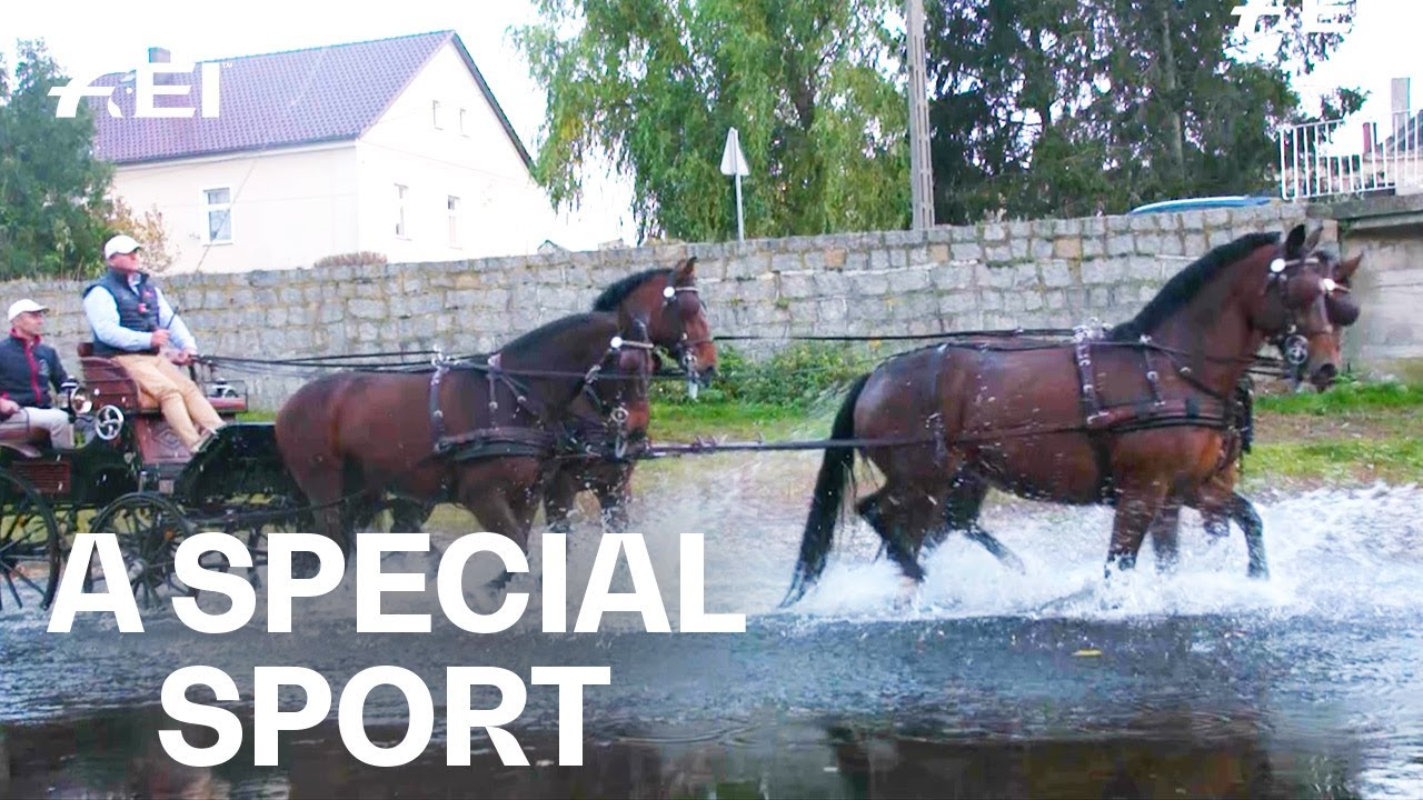 Driving: The oldest competitive equestrian sport of the world | RIDE presented by Longines
