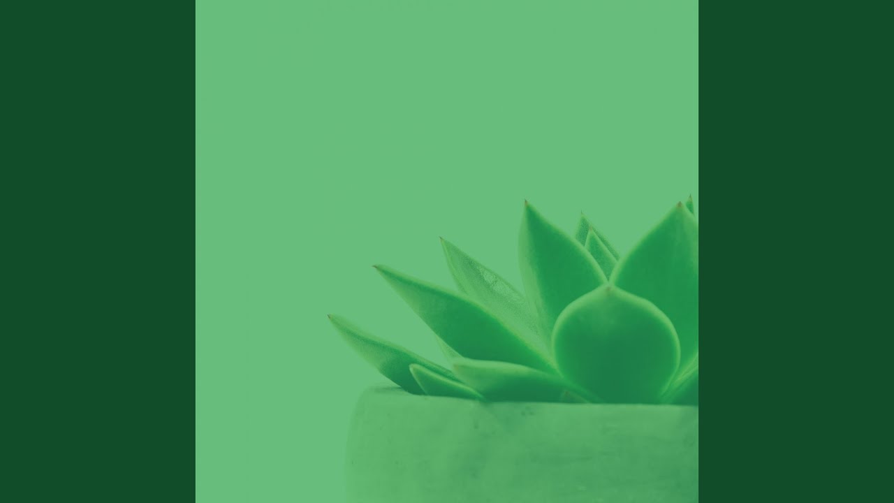 Fiery Backdrops for Calming Moments
