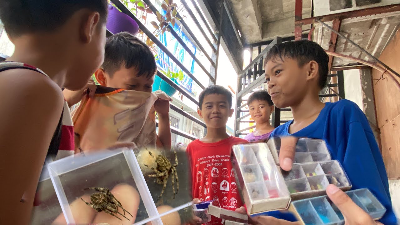 ANDAMI NILANG GAGAMBA