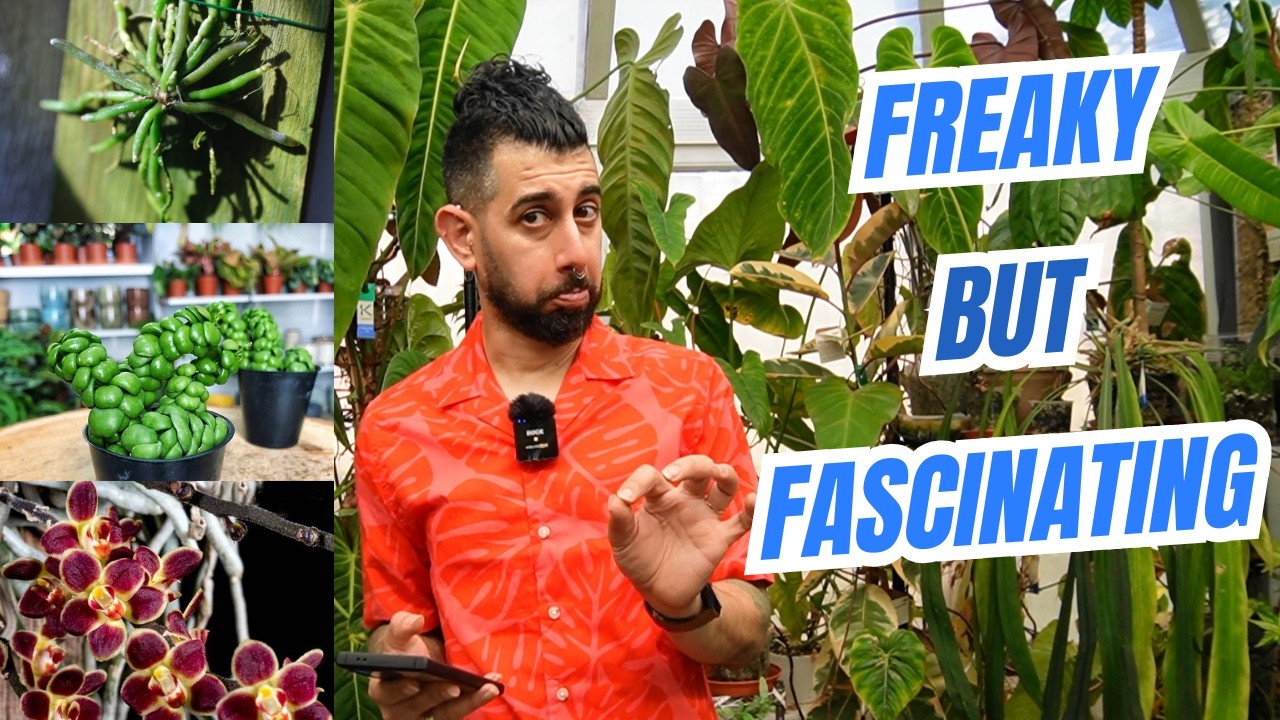 🌴10 Weird Tropical Plants You&rsquo;ve Never Heard Of (But Will Want!)