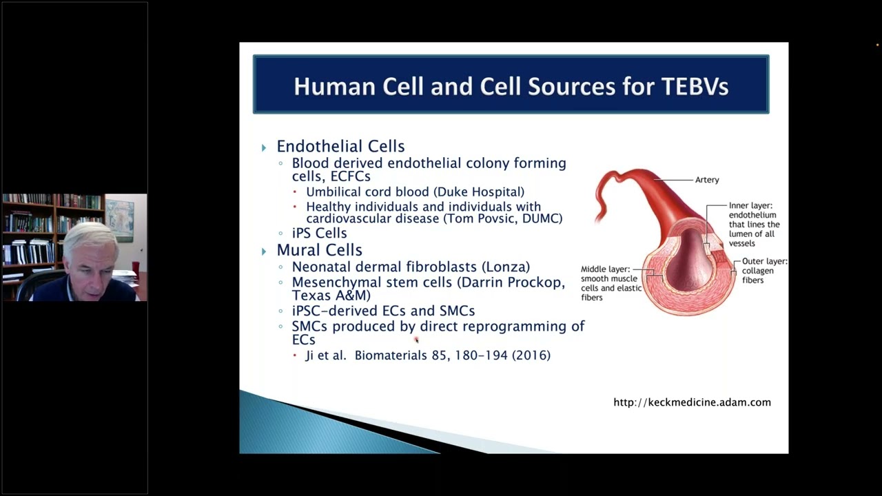 Modeling Diseases in Human Vascular Microphysiological Systems - Lecture by George A. Truskey, PhD
