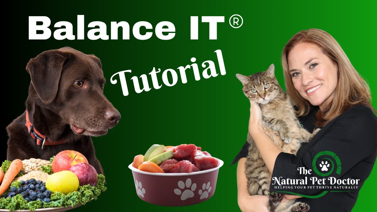 How To Make Homemade Dog & Cat Food Recipes - Vet Approved