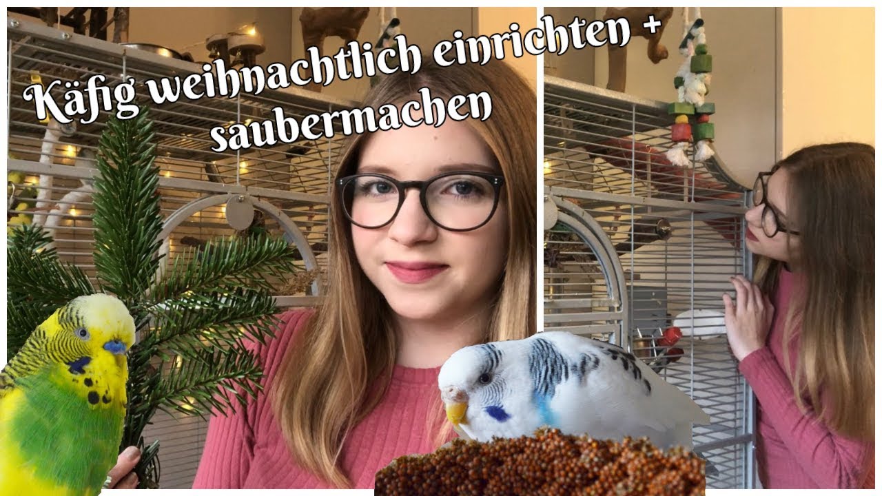 Vogelkäfig weihnachtlich einrichten + saubermachen🎄💕 XL Daily Vlog 18.12.2018