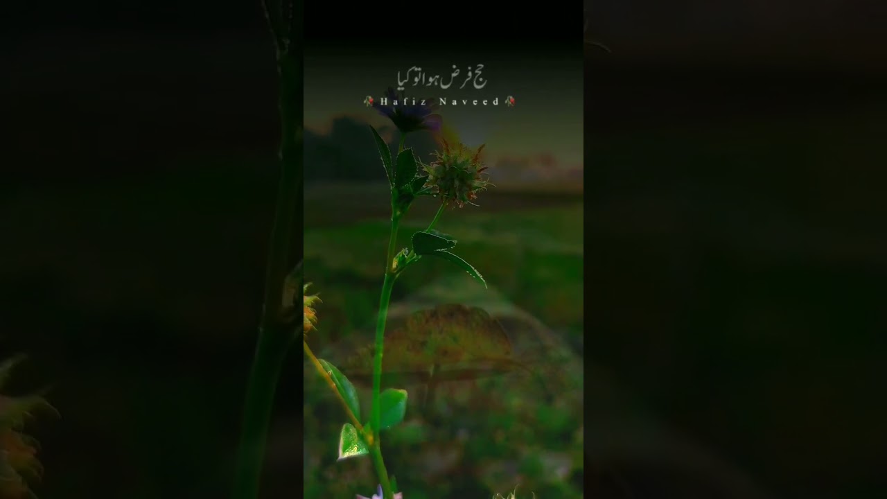 important Bayan Maulana Ajmal Raza Qadri short video 