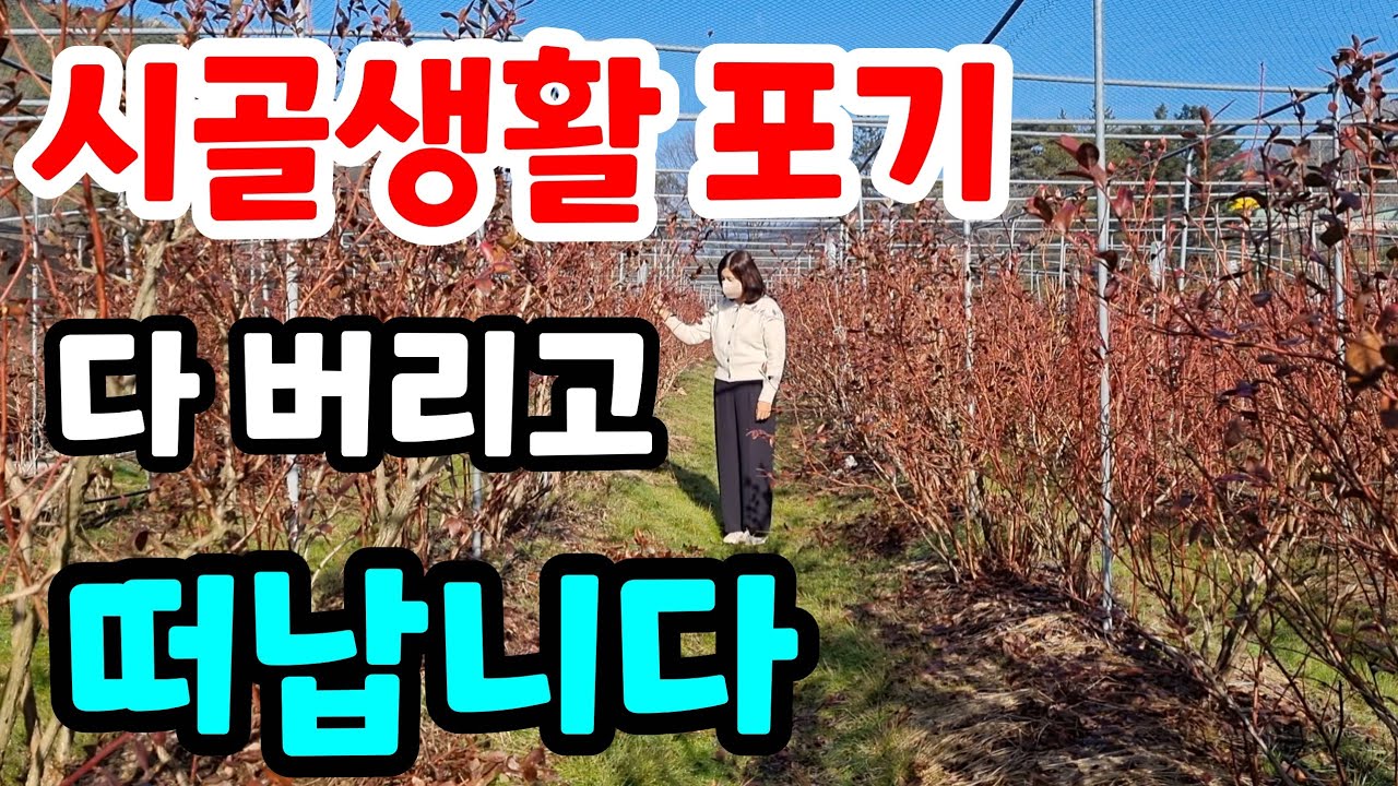 전원생활 접고 떠나는 가장 큰 이유 귀촌 성공하는법 시골생활 포기 귀농 실패하는 가장 큰 이유 귀농성공하는법 #주말농장 #운동#건강#헬스#다이어트#힐링#텃밭#정원#행복#자연#농부