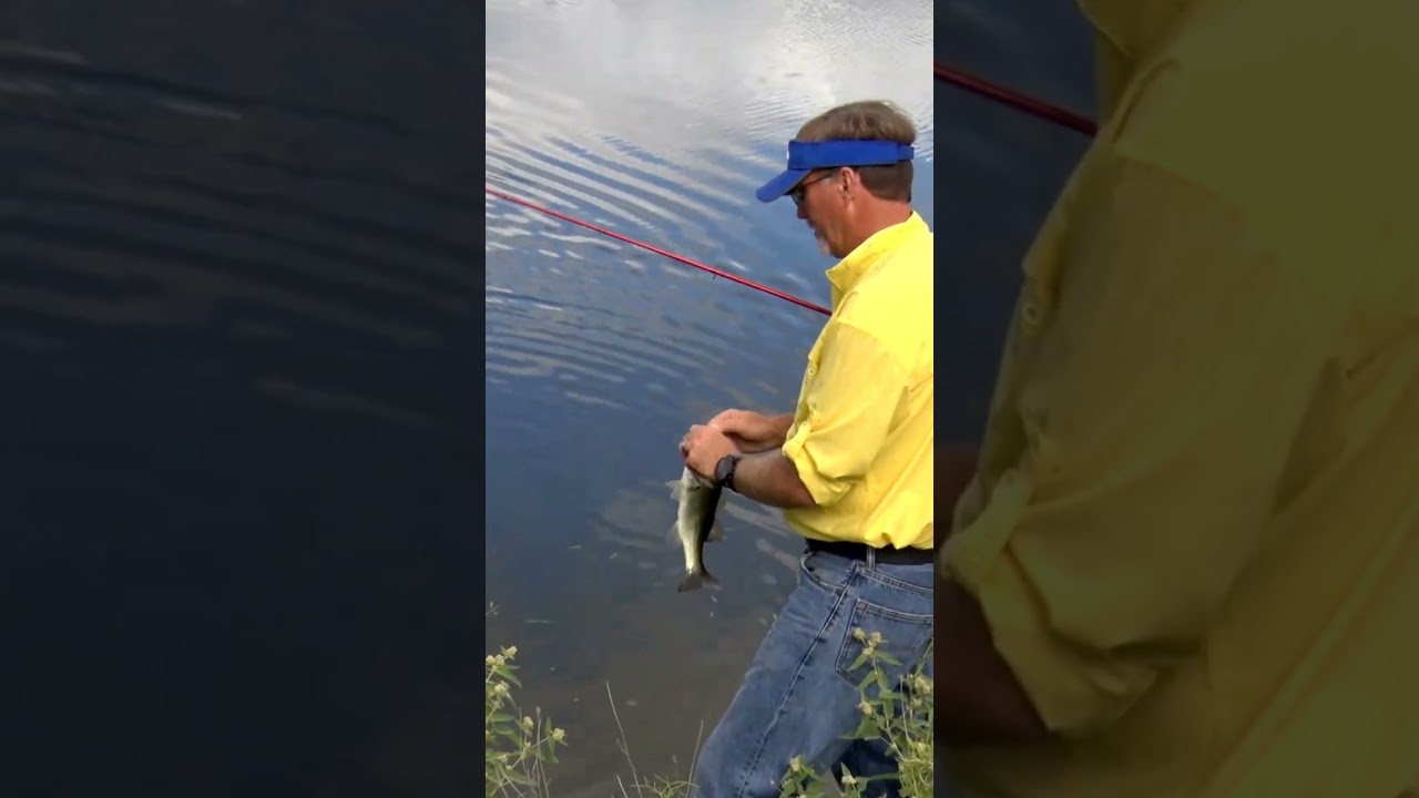 POND FISHING WITH FROGS #BassProShops #Cabelas #FRAUGUST #SPRO #SPROUSA #SPROFishing #SunlineAmerica