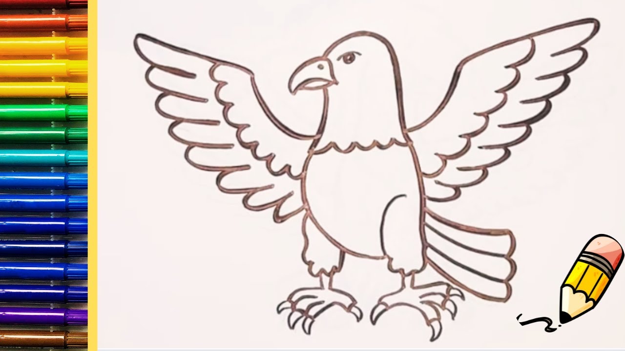 How to draw an eagle, drawing an eagle easy step by step video for beginners.