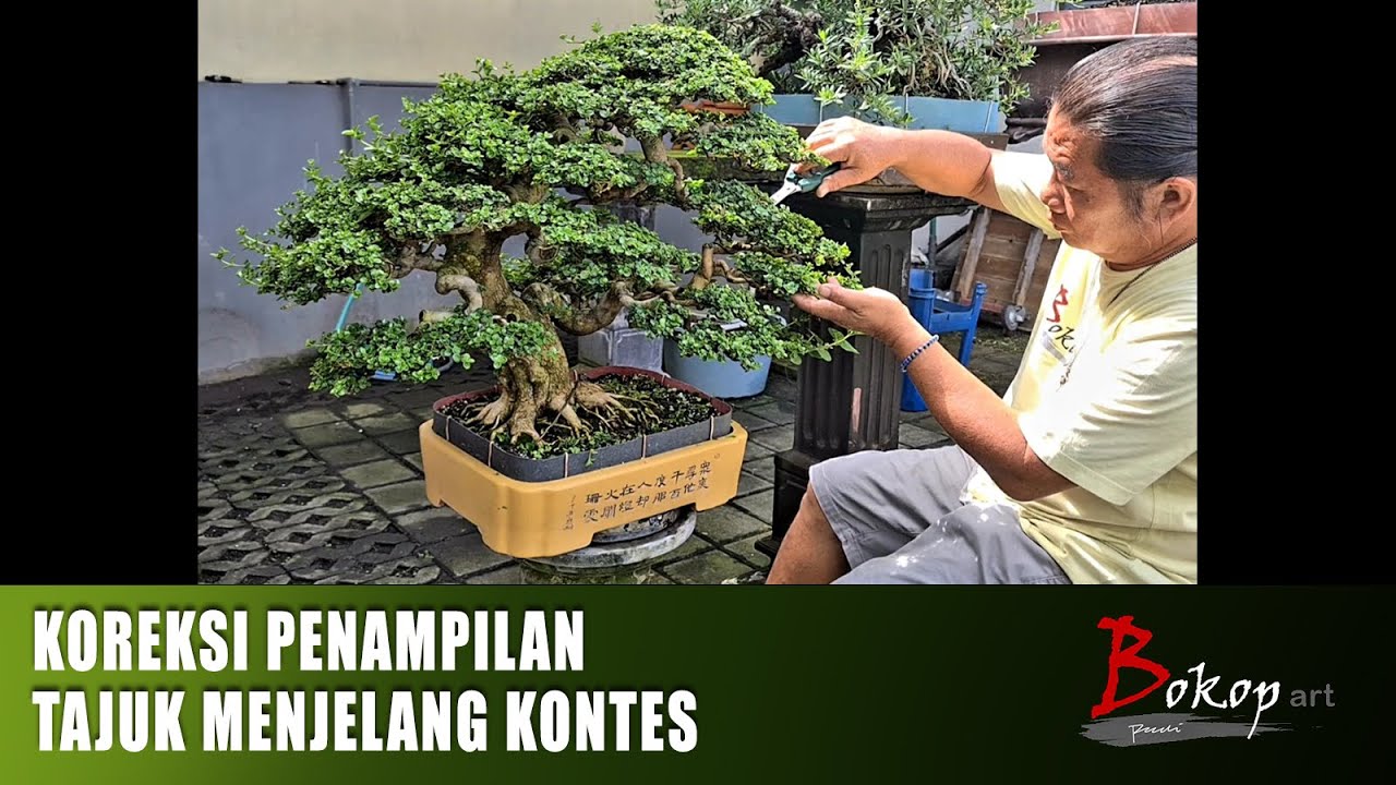 KOREKSI PENAMPILAN TAJUK MENJELANG KONTES