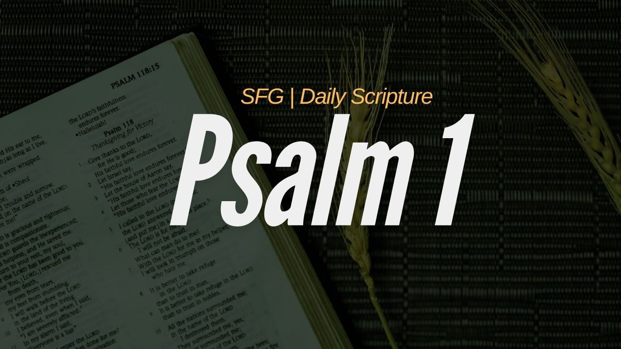 Psalm 1 | The Way of the Righteous | SFG Daily Scripture