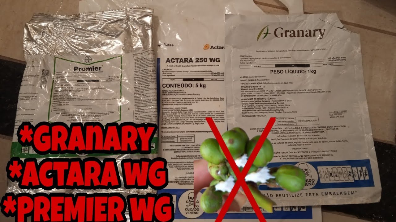 Cochonilha da roseta quais os produtos eficientes para seu controle?Actara,Granary,Premier wg